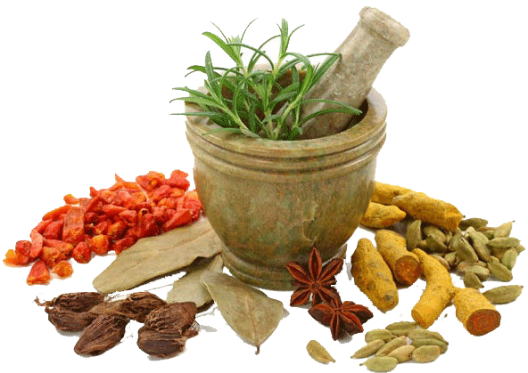 Medicinal Herbs